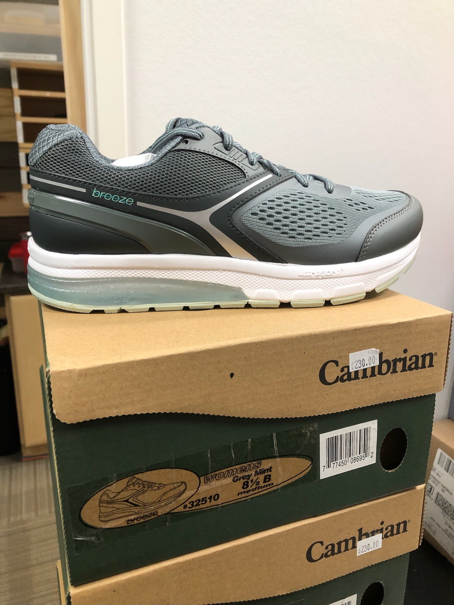 Cambrian Breeze 32510 grey mint